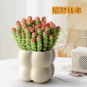 Artificial Small Plant