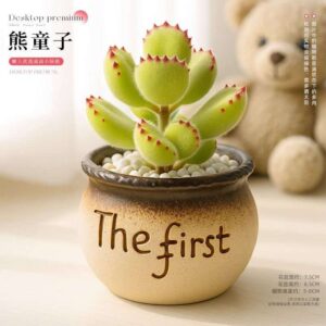 Mini Artificial Plant