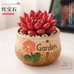 Red Color Artificial Plant